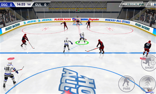 冰球全明星游戏