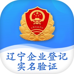 辽宁企业登记实名认证app