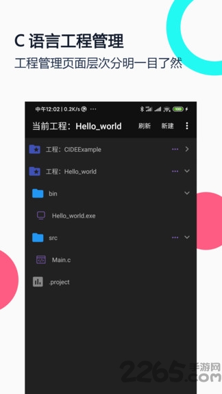 IDEAPP