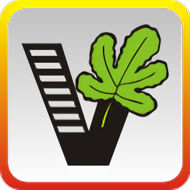 我爱自学网APP