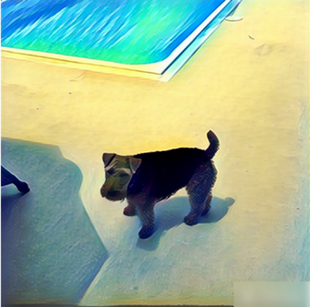 Prisma APP
