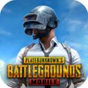 PUBG国际版(绝地求生)