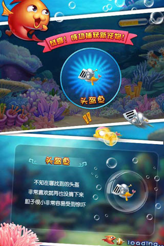 大鱼吃小鱼3夺宝大冒险