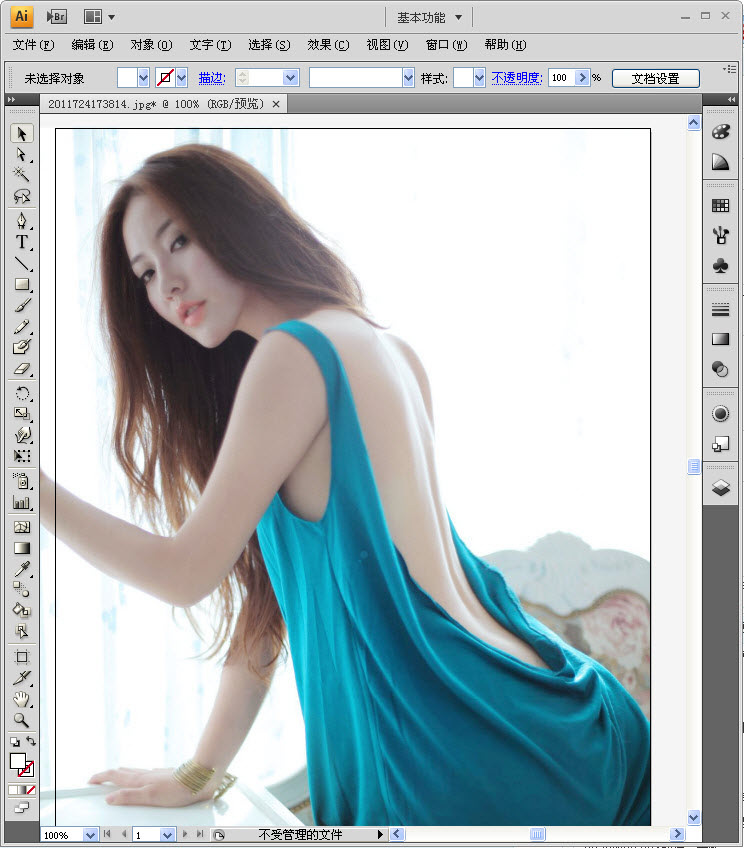 Adobe Illustrator CS4(ai软件)
