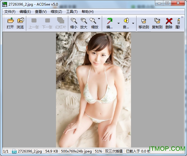 ACDSee 5.0精简优化版