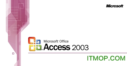 Microsoft Office access 2003