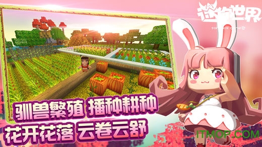迷你世界4周年