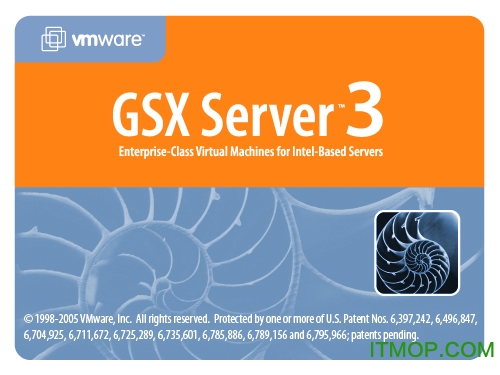 VMware GSX Server