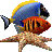 3d热带鱼水族箱屏保(Marine Aquarium)