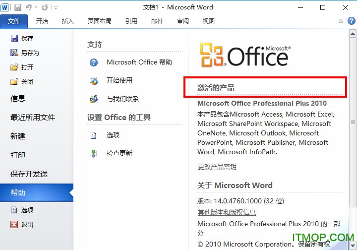 Office Professional Plus 2010 (x64)