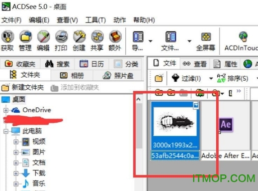 ACDSee 5.0精简优化版