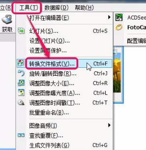 ACDSee 5.0精简优化版