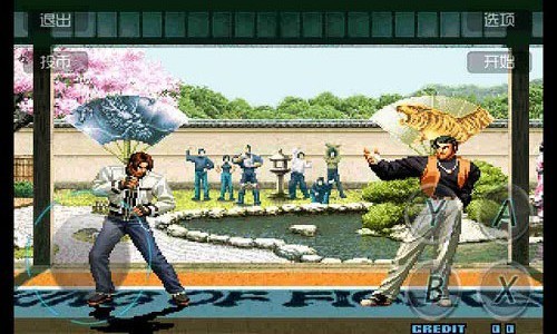 拳皇2002风云再起无限气