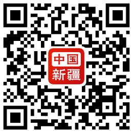 新疆政务服务