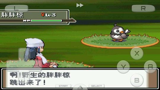 口袋妖怪白金493中文版