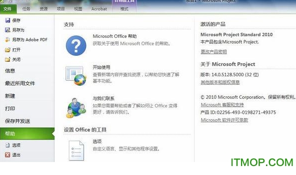 microsoft project professional 2010