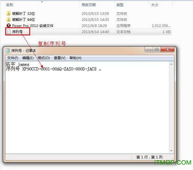 poser pro 2012汉化破解版