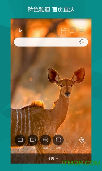 bing翻译apk