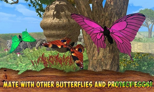 蝴蝶模拟器3D中文版(Butterfly Insect Simulator 3D)