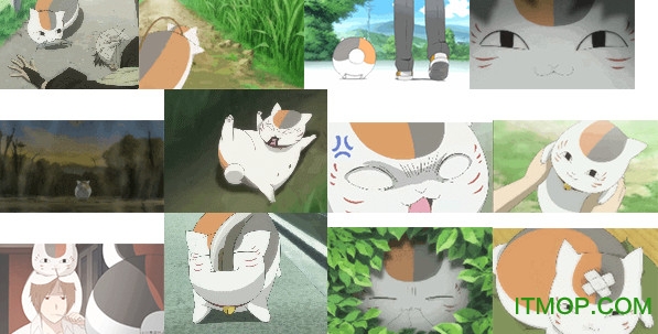 夏目友人帐猫咪老师表情包