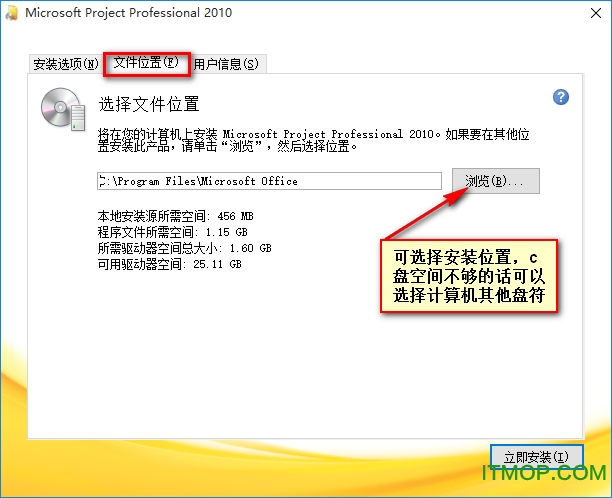 microsoft project professional 2010
