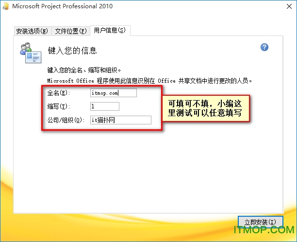 microsoft project professional 2010