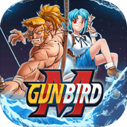 武装飞鸟M无限钻石金币版(GUNBIRD M)