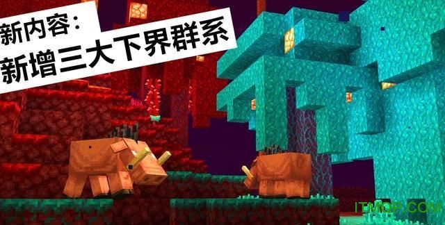 我的世界1.16国际版手机版