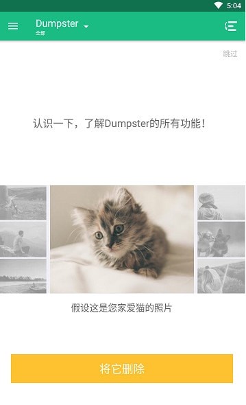 Dumpster Pro回收站高级版
