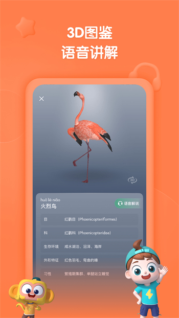 斑马百科