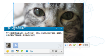 新浪微博桌面2012官方