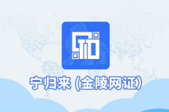 宁归来(金陵网证)最新版