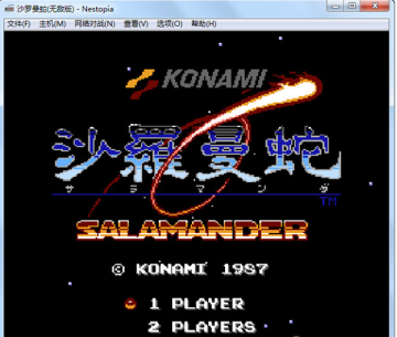 沙罗曼蛇30条命