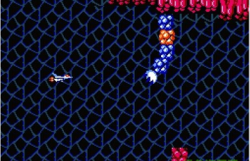 沙罗曼蛇3金手指