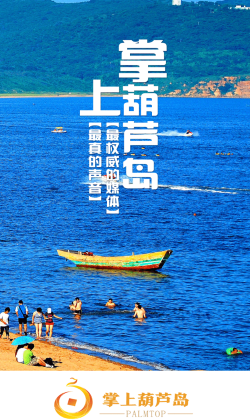 掌上葫芦岛安卓版