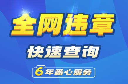 123123违章查询交费