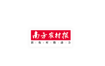南方农村报app