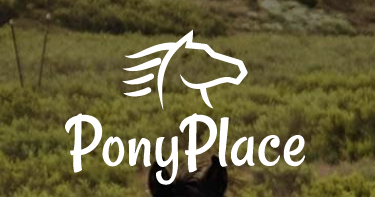 PonyPlace马匹交易平台
