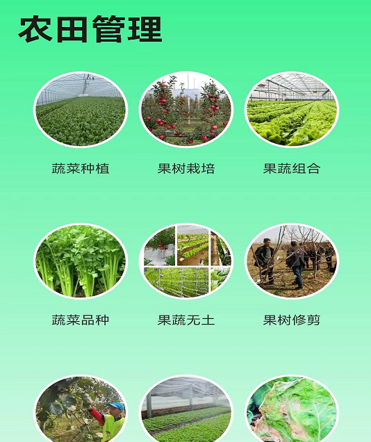 绿色农场app