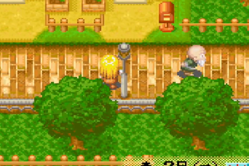 牧场物语女孩版汉化版