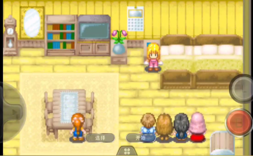 牧场物语女孩版汉化版