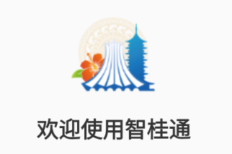 智桂通app