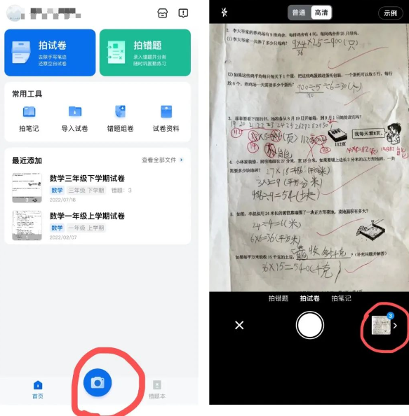 蜜蜂试卷免费版