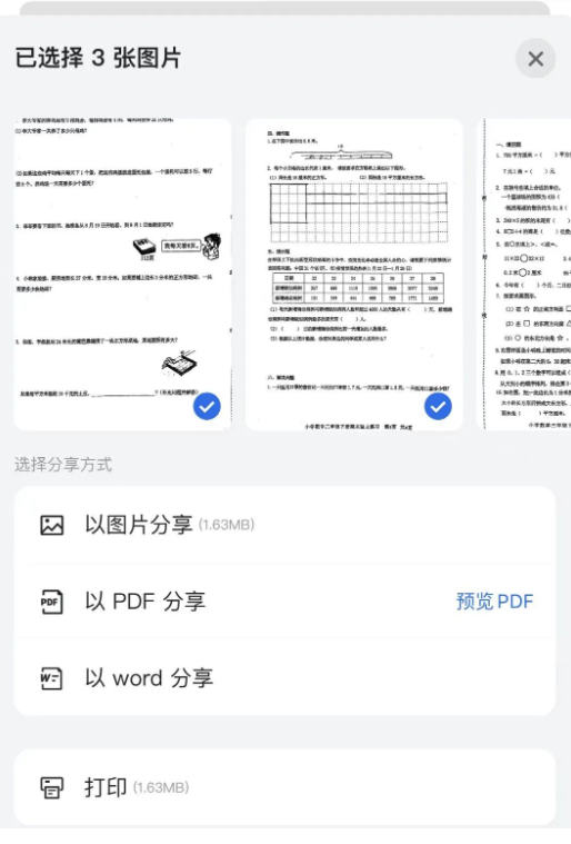 蜜蜂试卷免费版