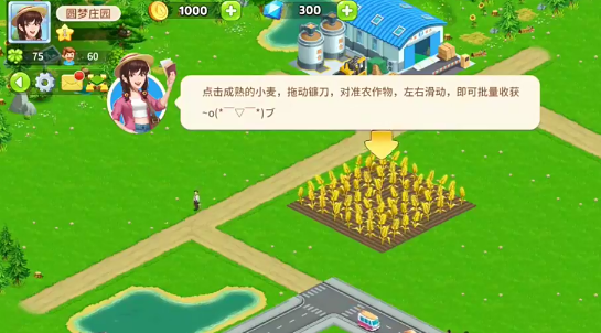 圆梦庄园手机版