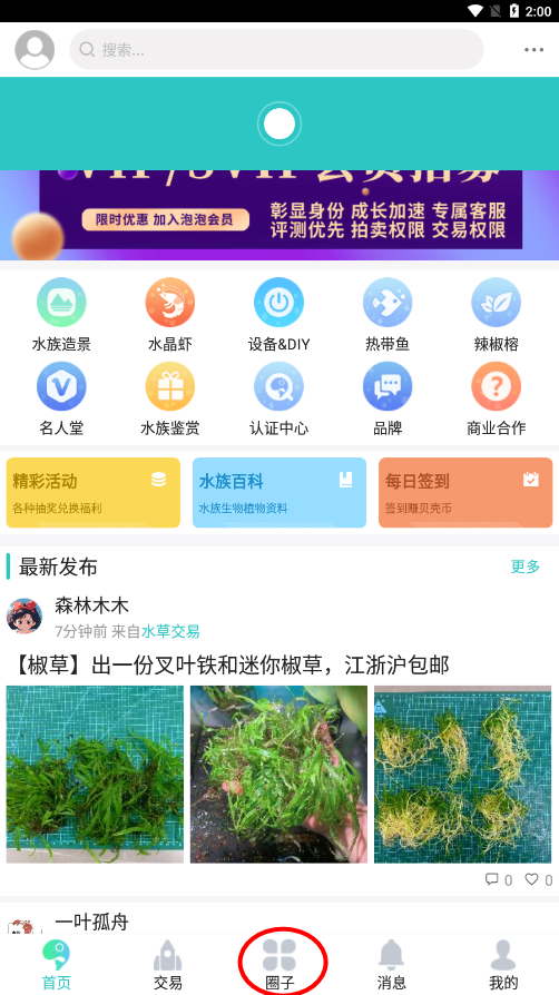 泡泡水族论坛官方