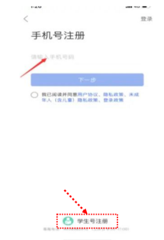 国家中小学智慧教育平台官方