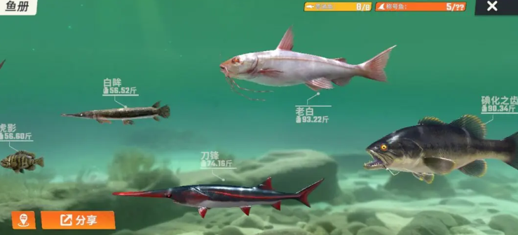 欢乐钓鱼大师官方正版