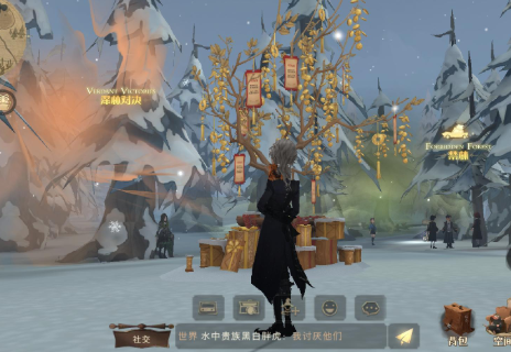 哈利波特魔法觉醒网易官方版