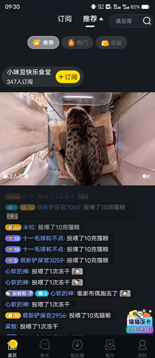 哈啰街猫官方